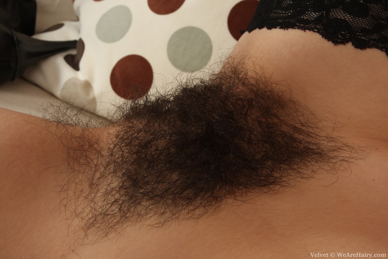 kinky-velvet-gapes-her-hairy-bush11.jpg